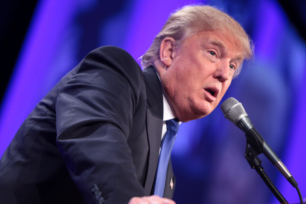 Trump Loves Lies, His Favorite: You’re The Liar